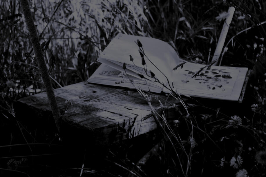 Field Notes