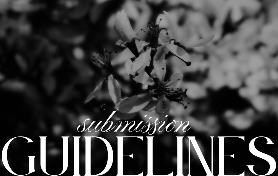 Submission Guidelines