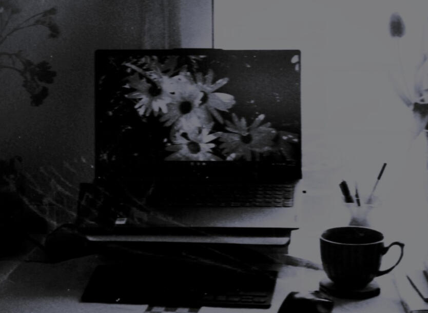 My Writing Journey: Projects, Routines, and Progress